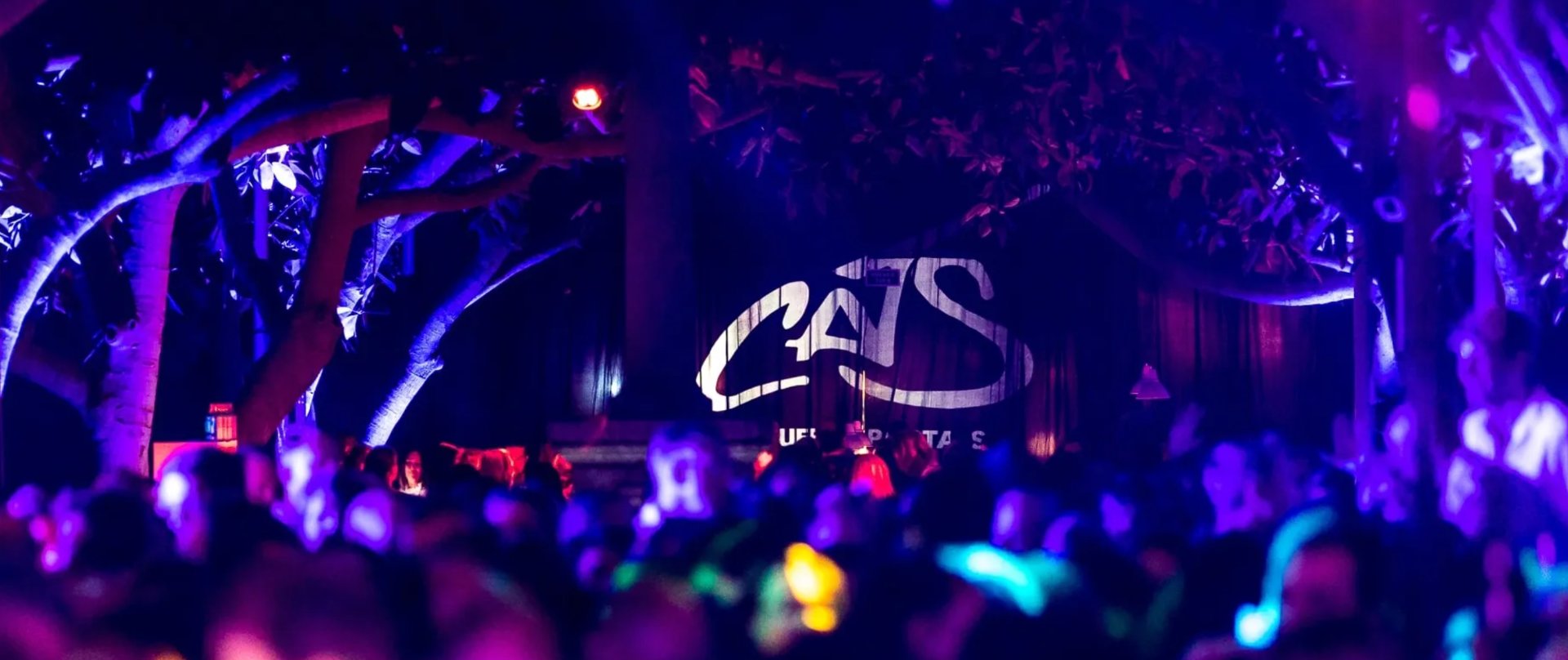 Cats Revival