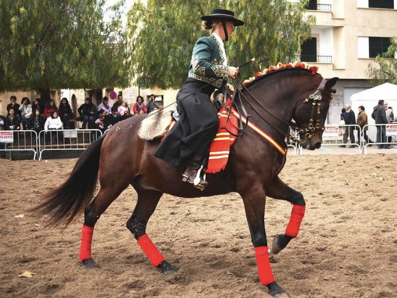 Sa Pobla Autumn Agricultural Fair, Sa Pobla
