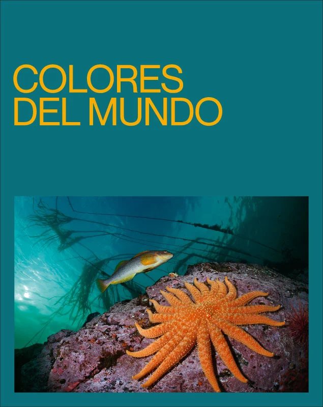 Un viaje visual por los colores del planeta