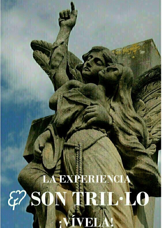 Guías Diurnas al Cementerio de Palma