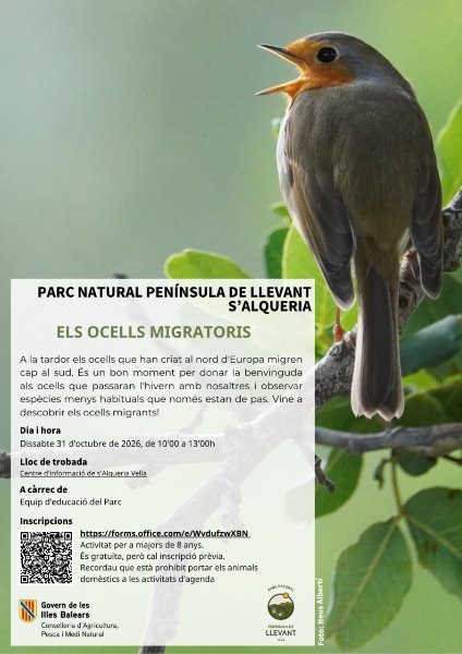 Los pájaros migratorios