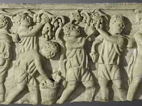 Ancient Romans for viticulture