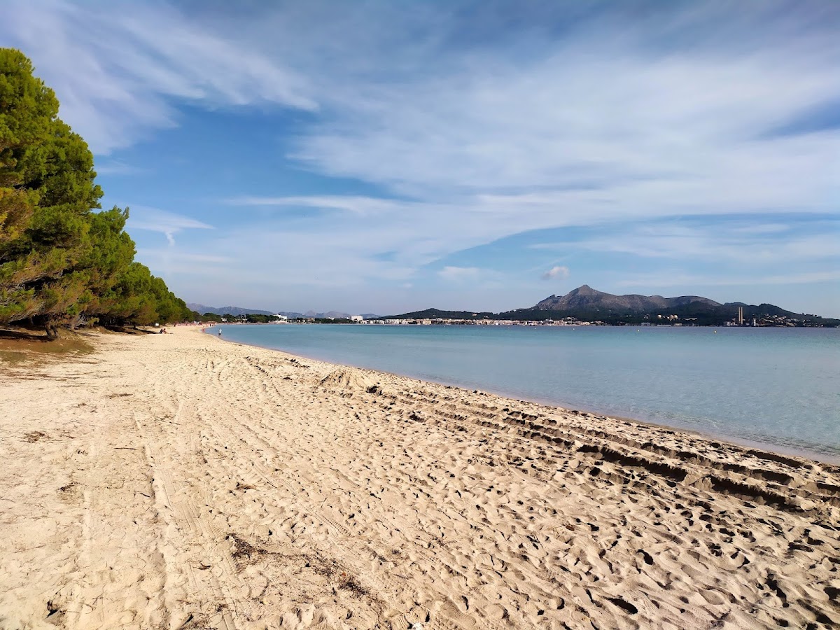 Plage De Los Pinos
