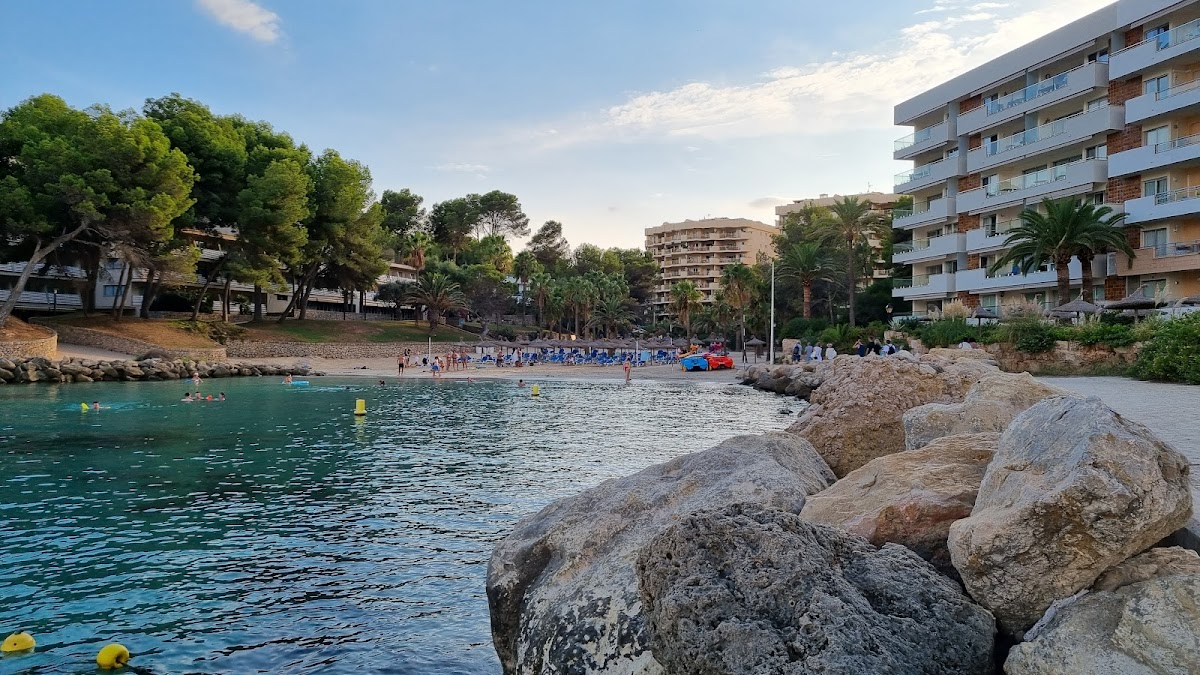 Cala Vinyes Strand
