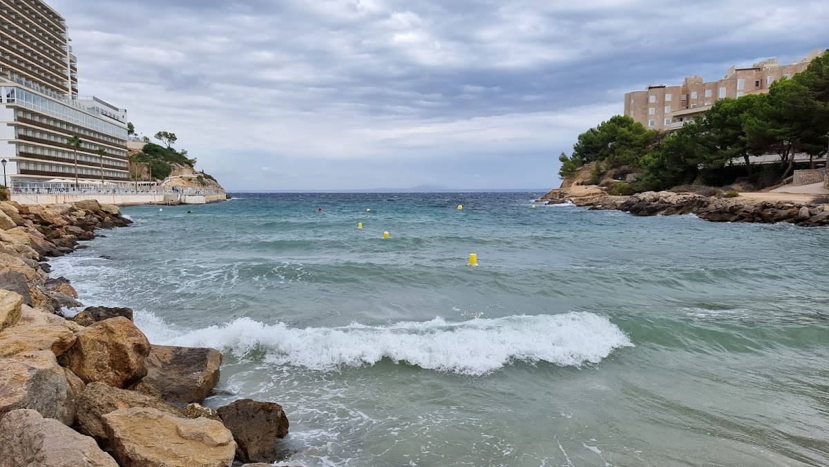 Cala Vinyes Strand