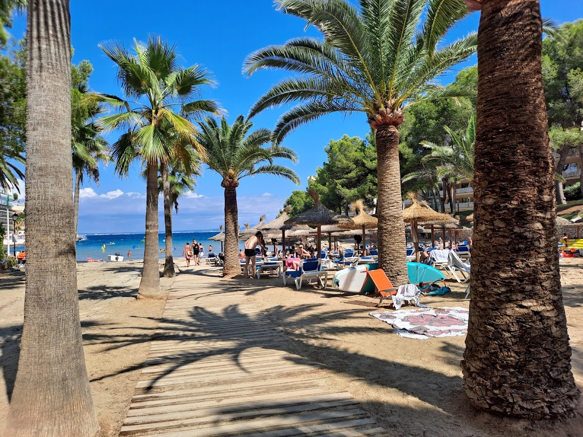 Cala Vinyes Strand