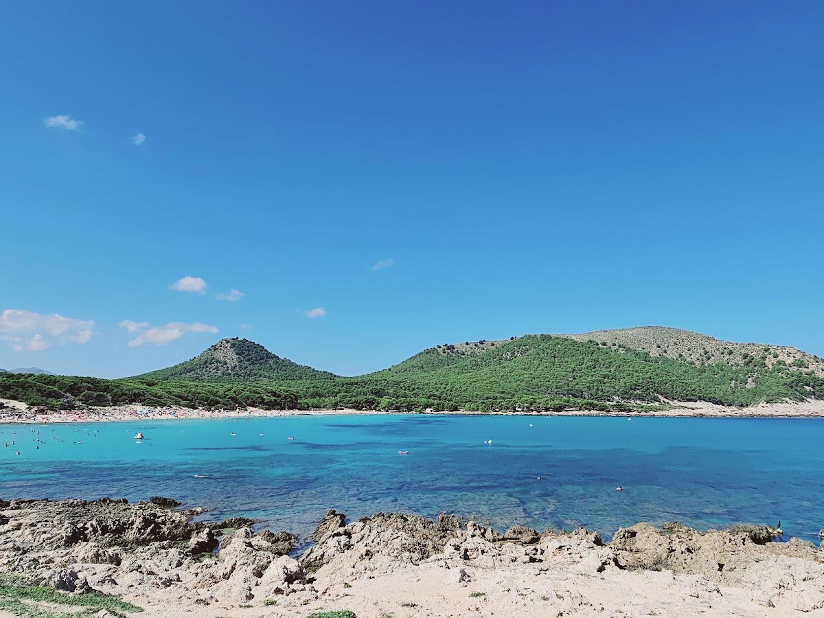 Strand
