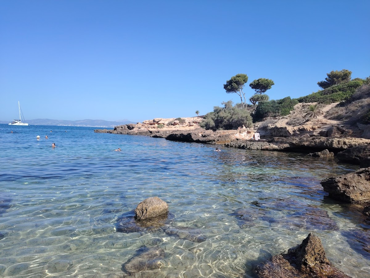 Strand Caló de ses Lleonardes