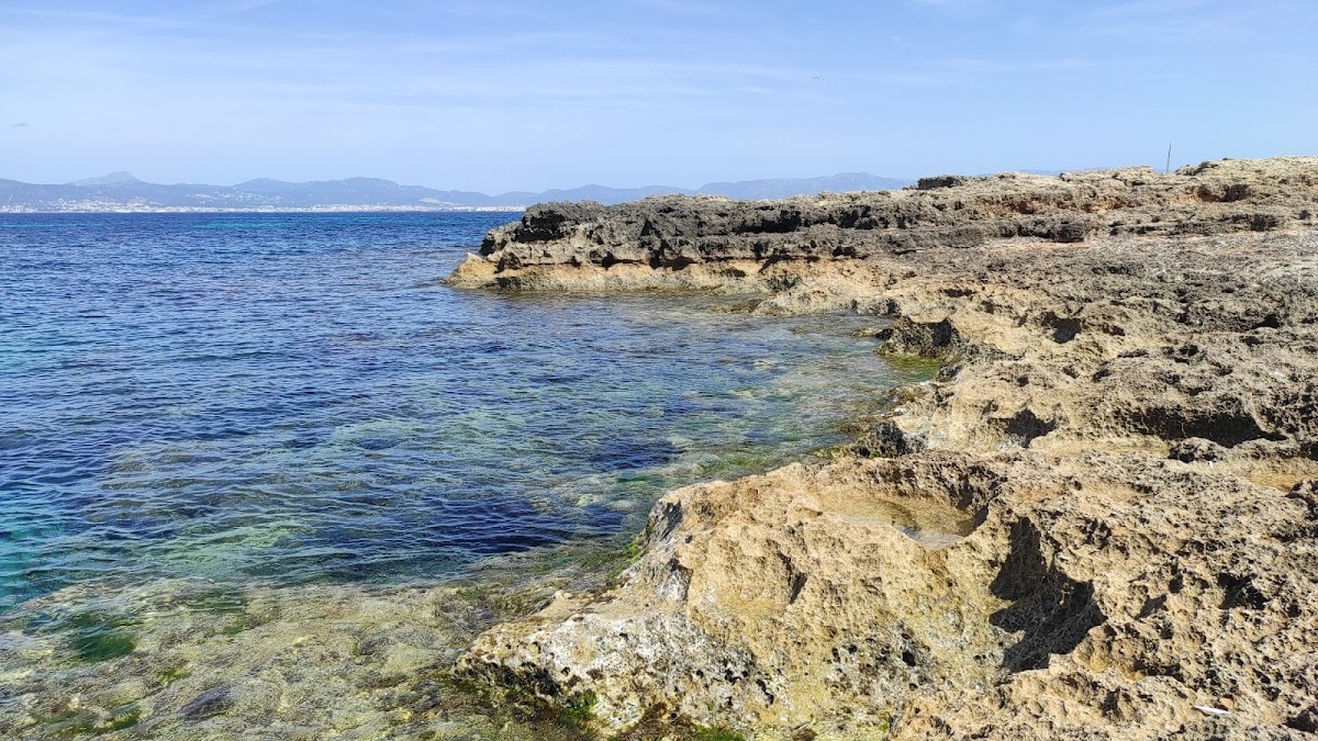Strand Caló de ses Lleonardes