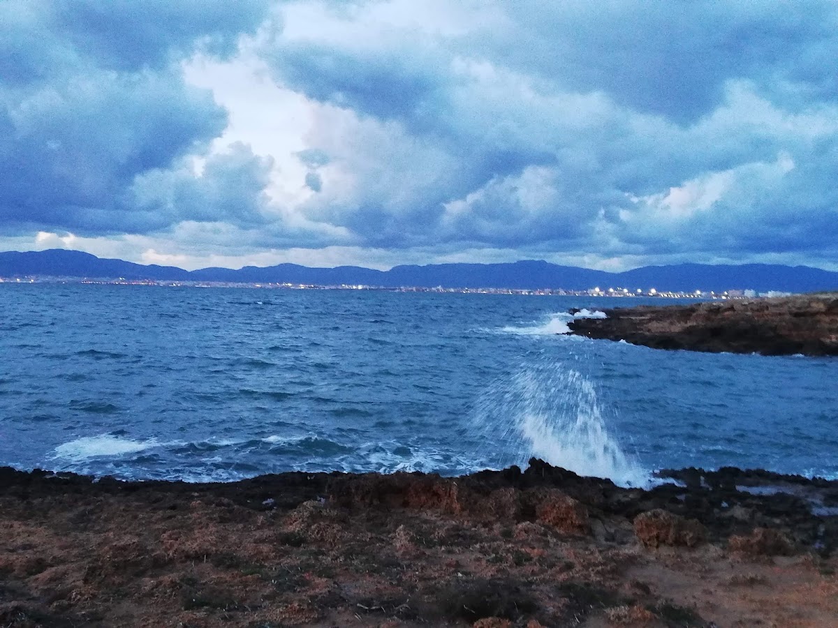 Strand Caló de ses Lleonardes