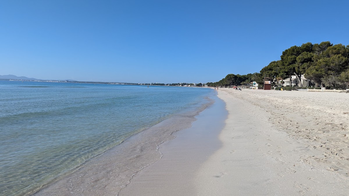 Bar de Praia Paraíso