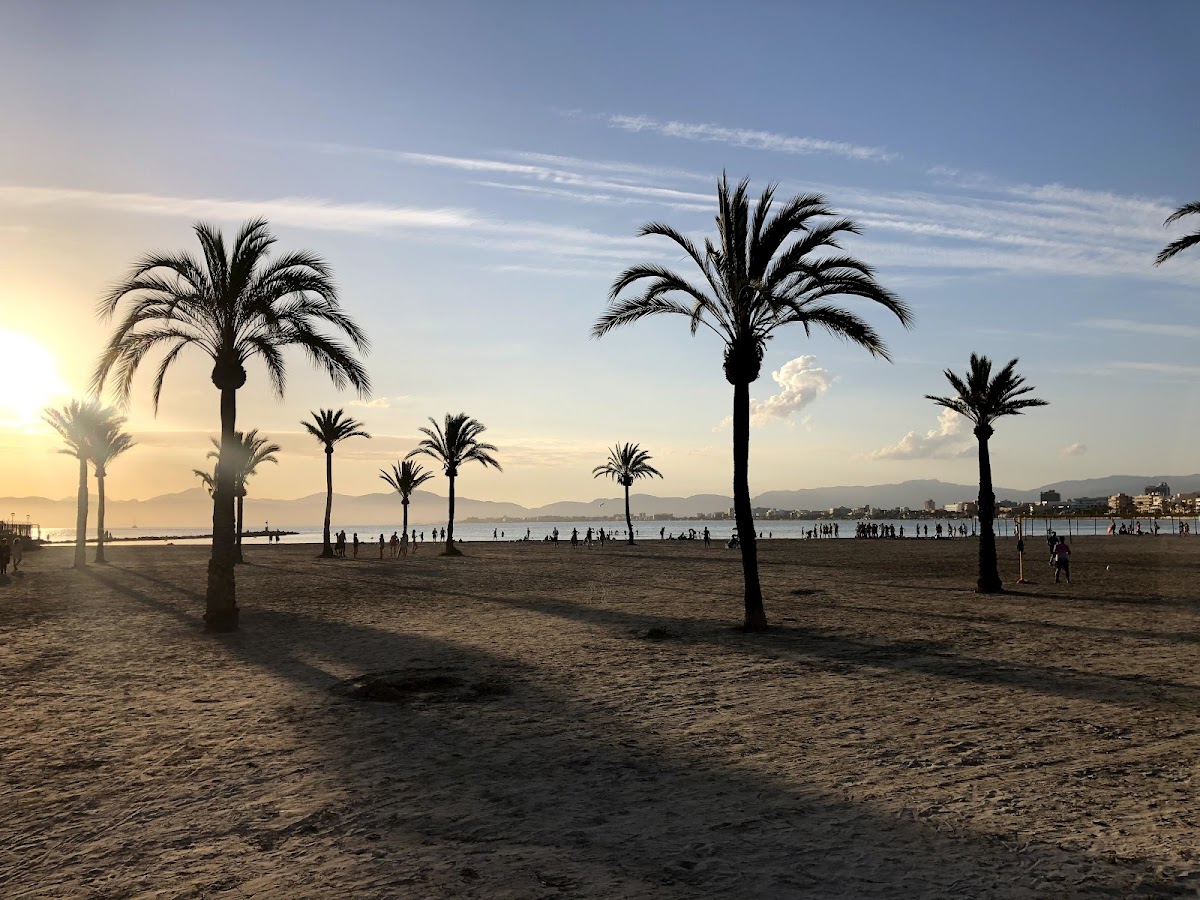 Strand S' Arenal