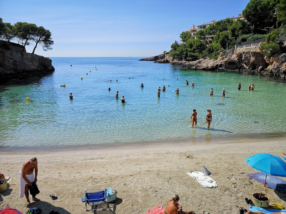 Strand von Portals Nous
