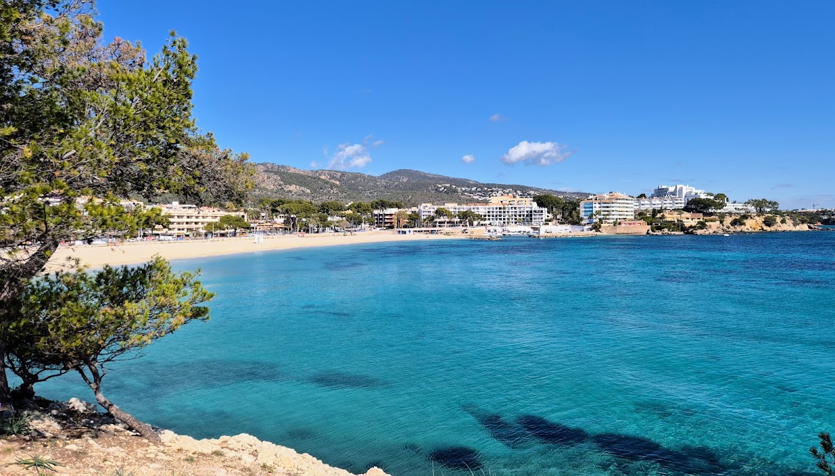 Es Carregador Strand