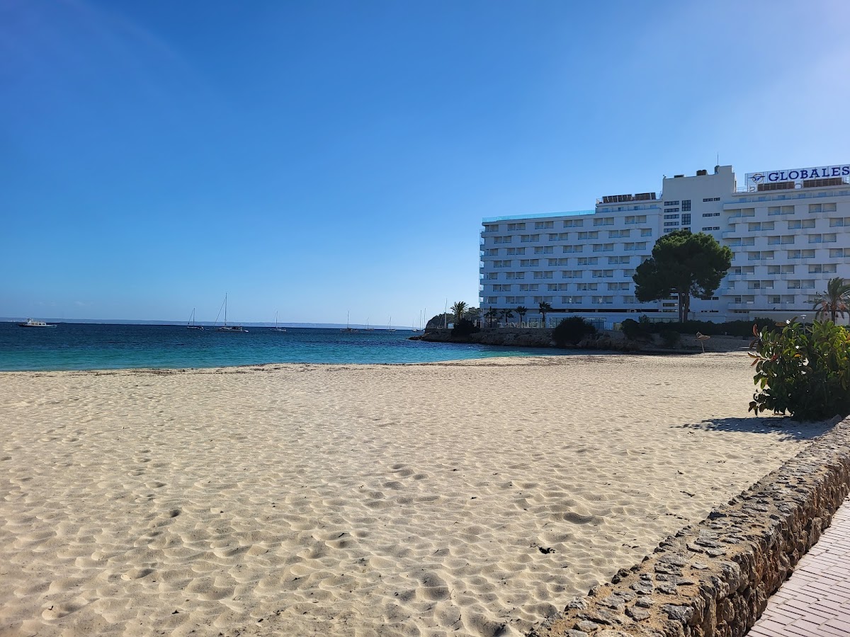 Es Carregador Strand