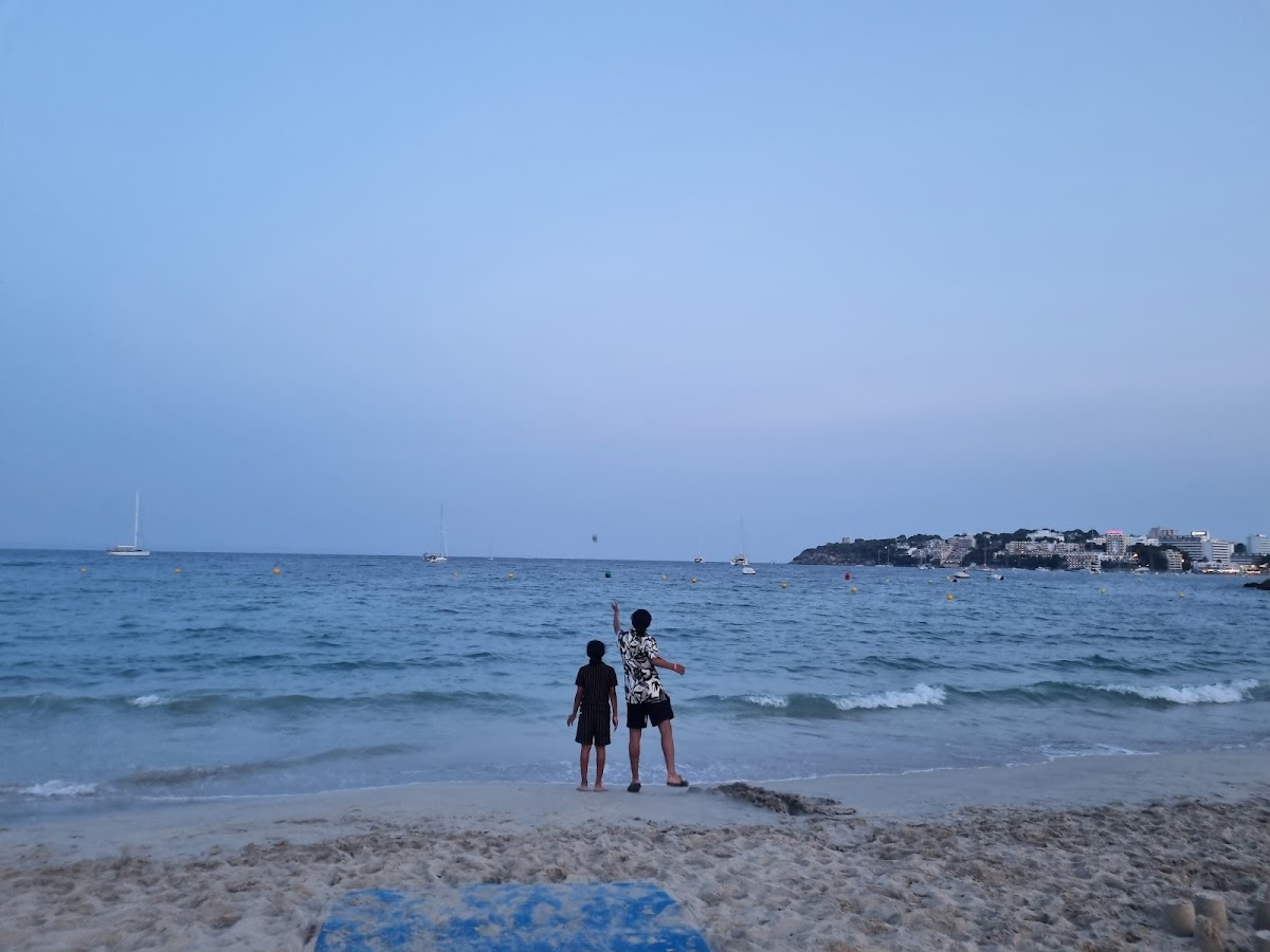 Es Carregador Strand