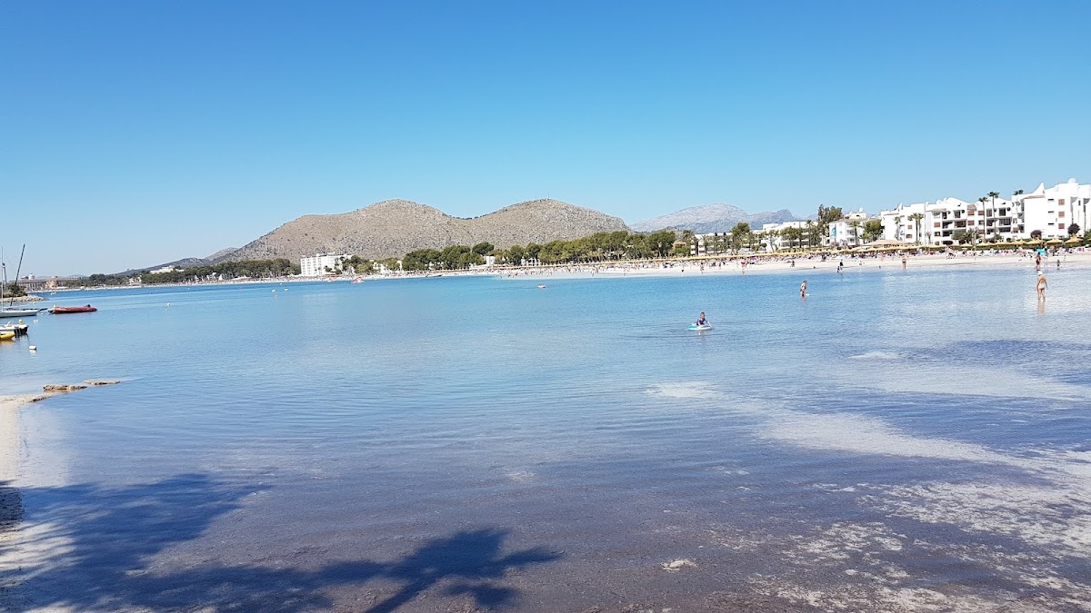 Plage d'Alcudia