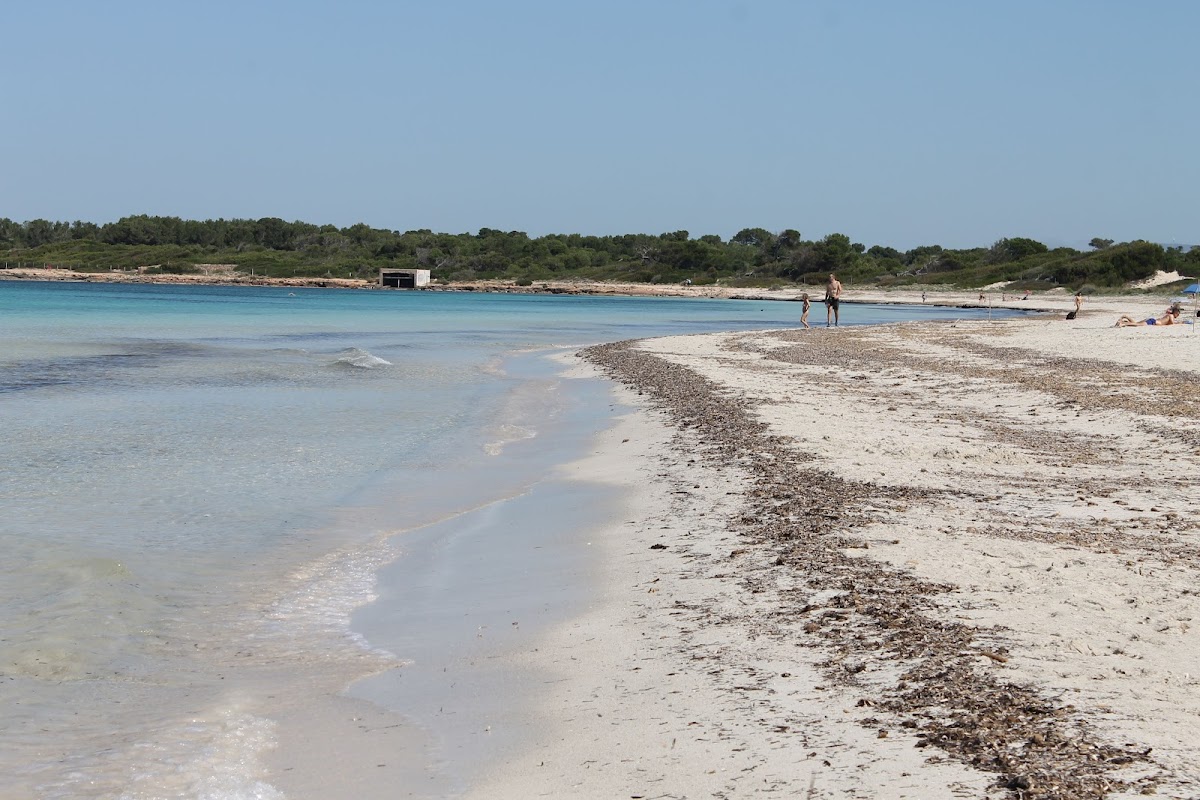 Platja es Carbó