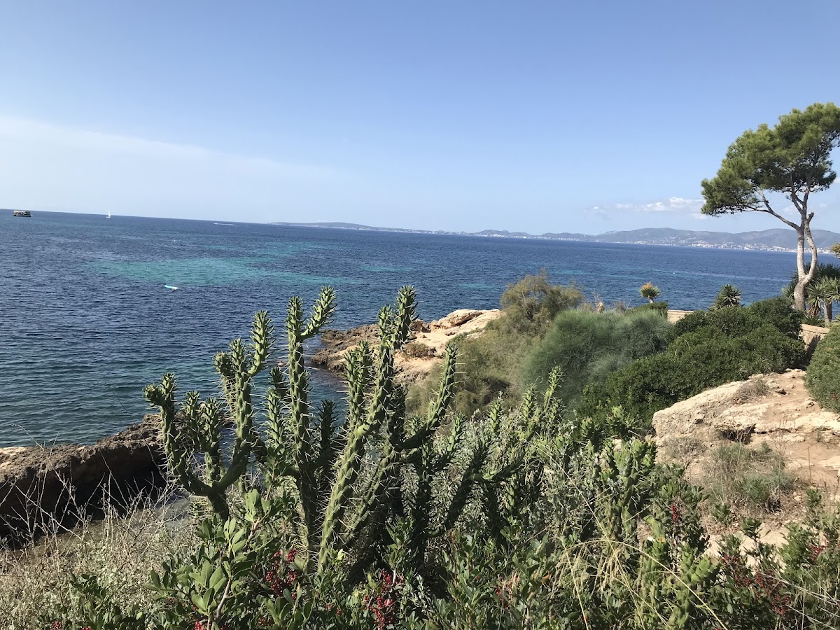 Praia de Sa Pesquera Plana