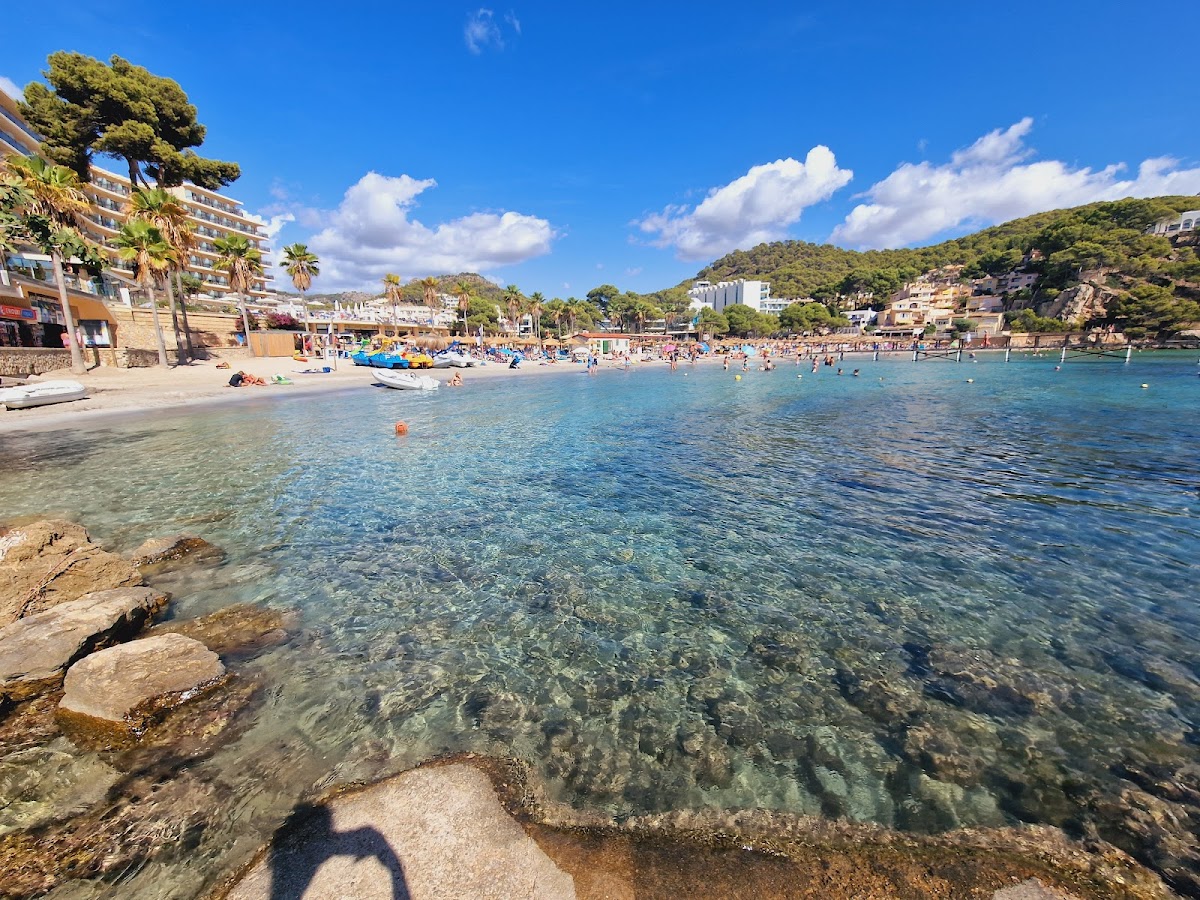 Praia de Camp de Mar