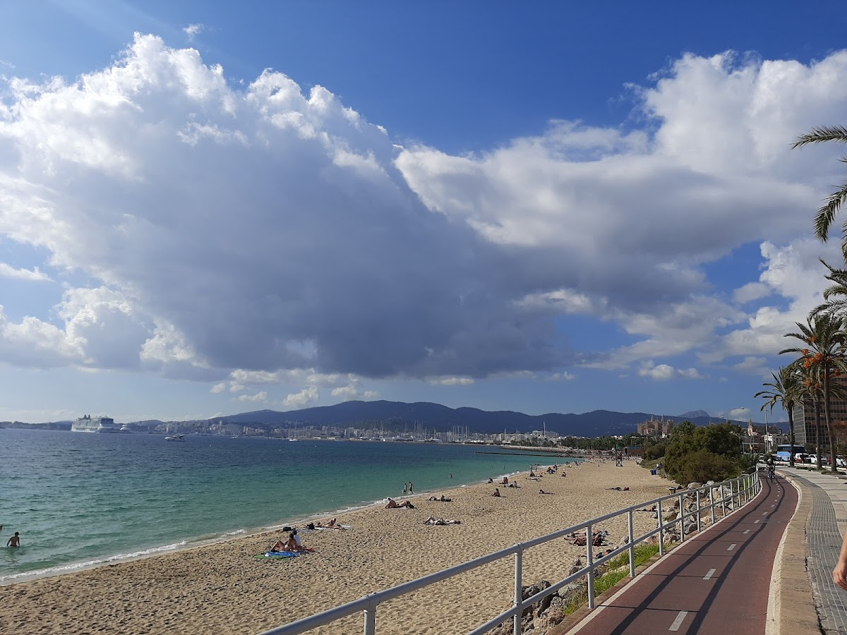 Strand von Can Pere Antoni