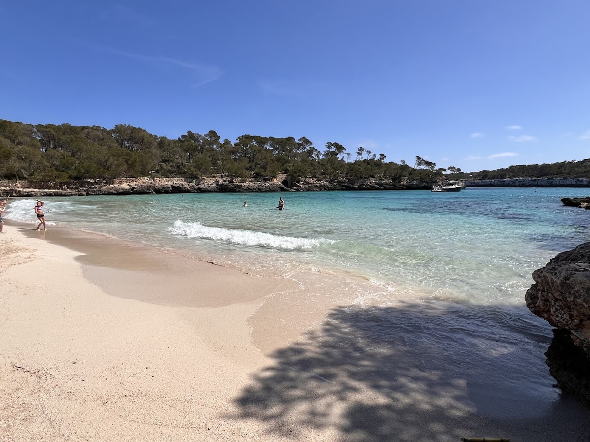 Spiaggia Park National
