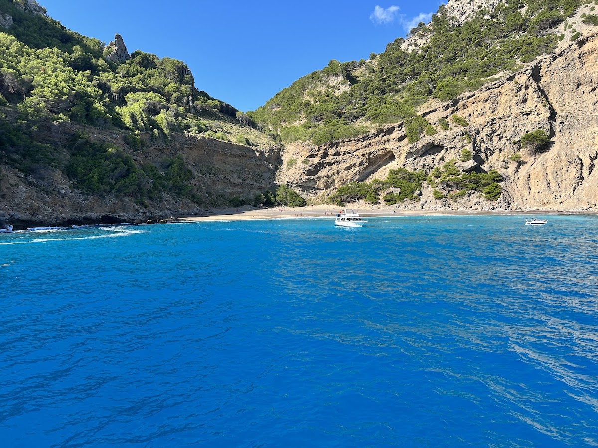Plage Top