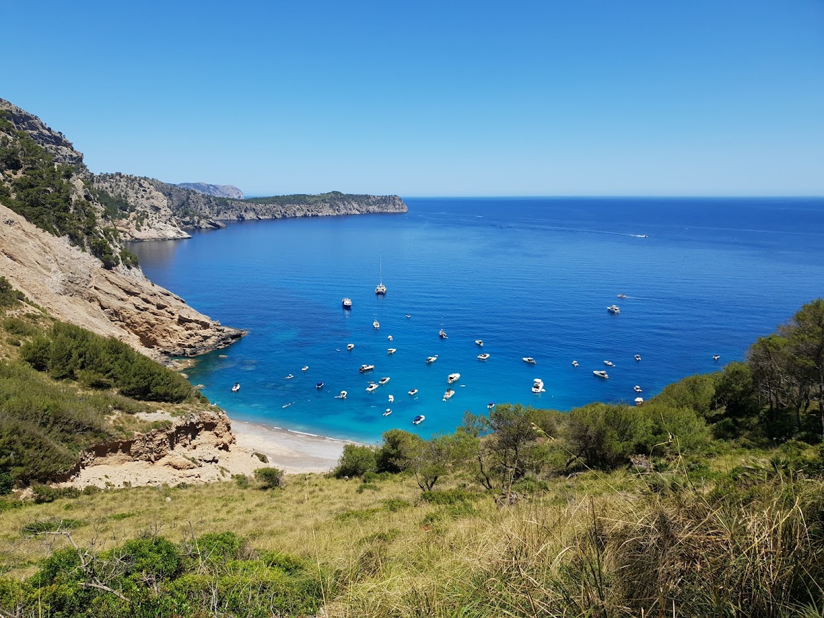 Plage Top