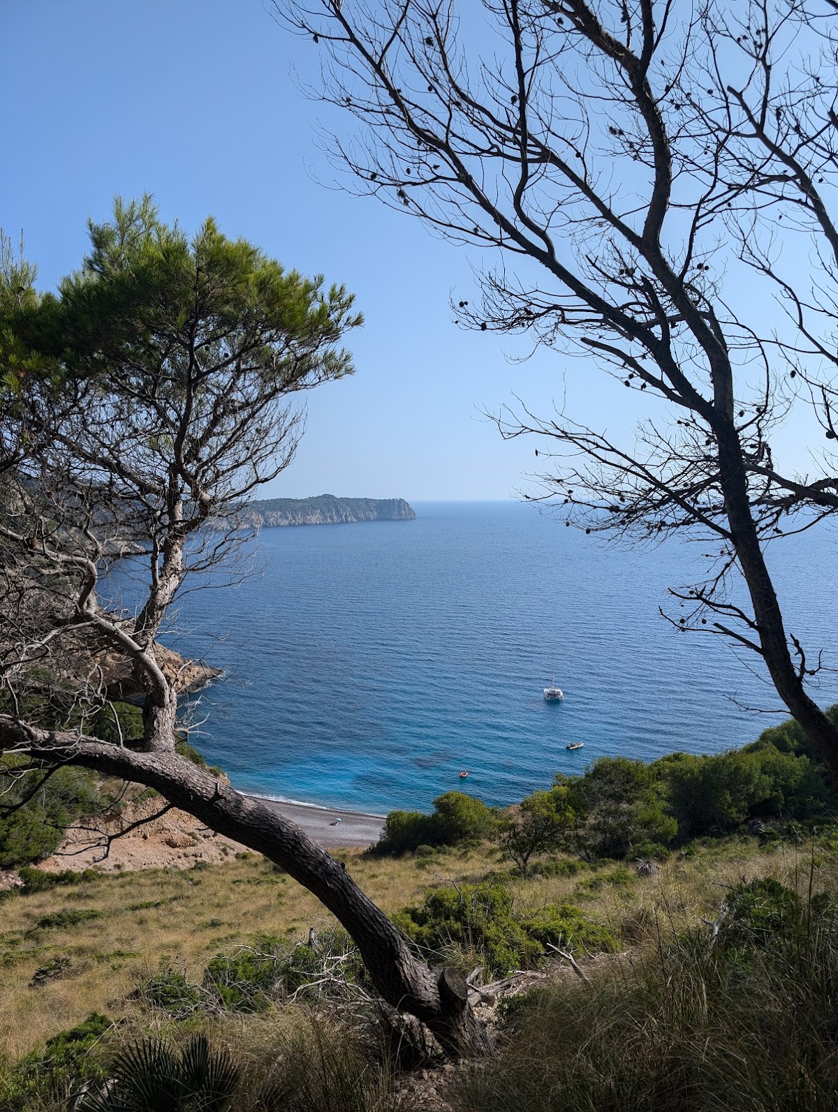 Plage Top