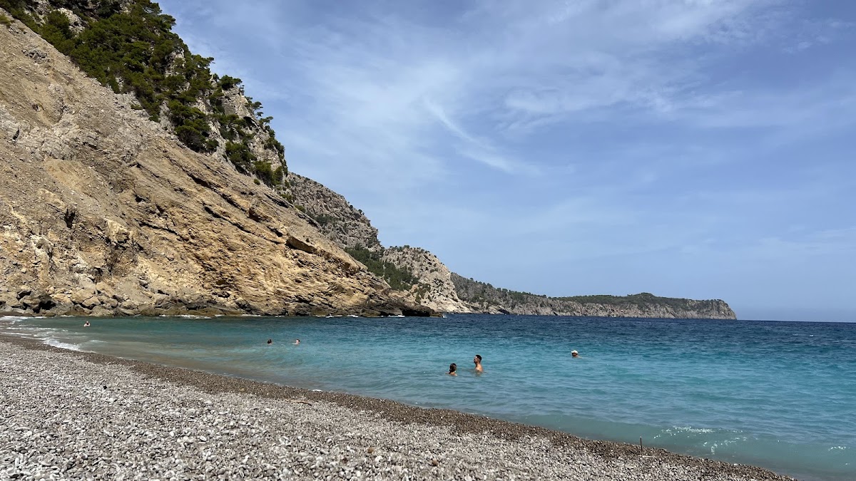 Plage Top