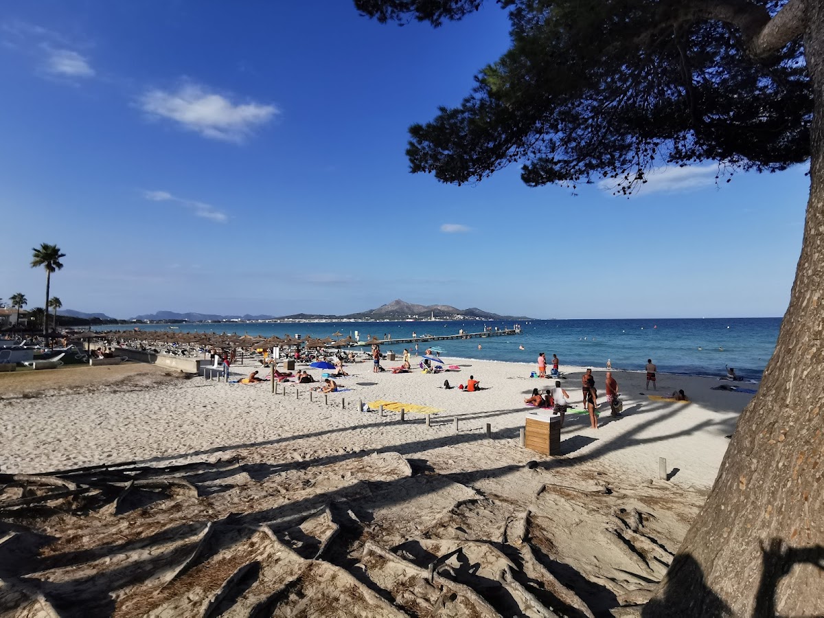 Praia de Alcudia