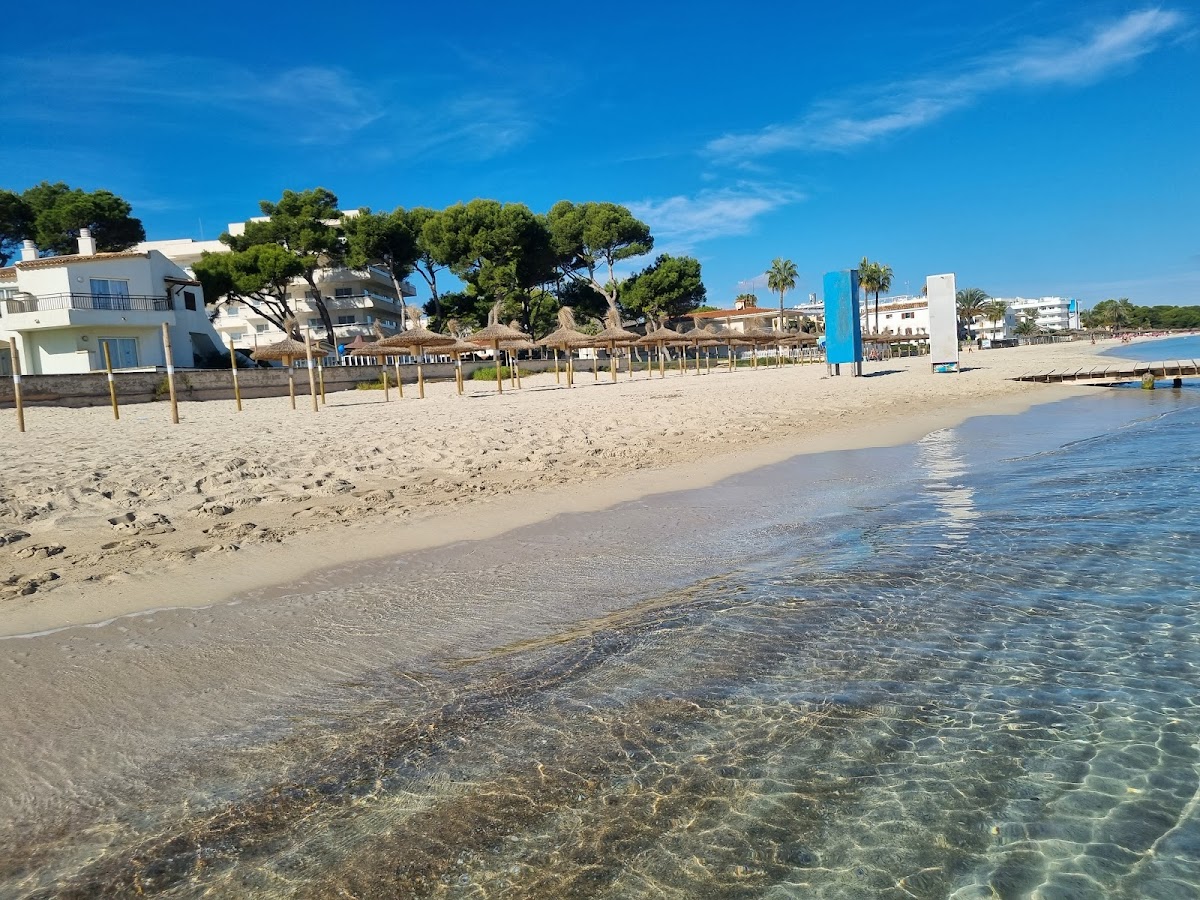 Praia de Alcudia