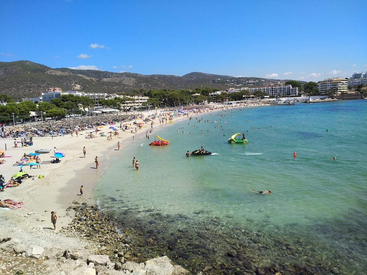 Palmanova Strand