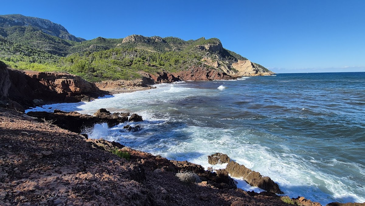 Platja de Canonge Port