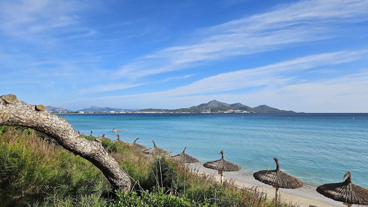 Platja de Muro