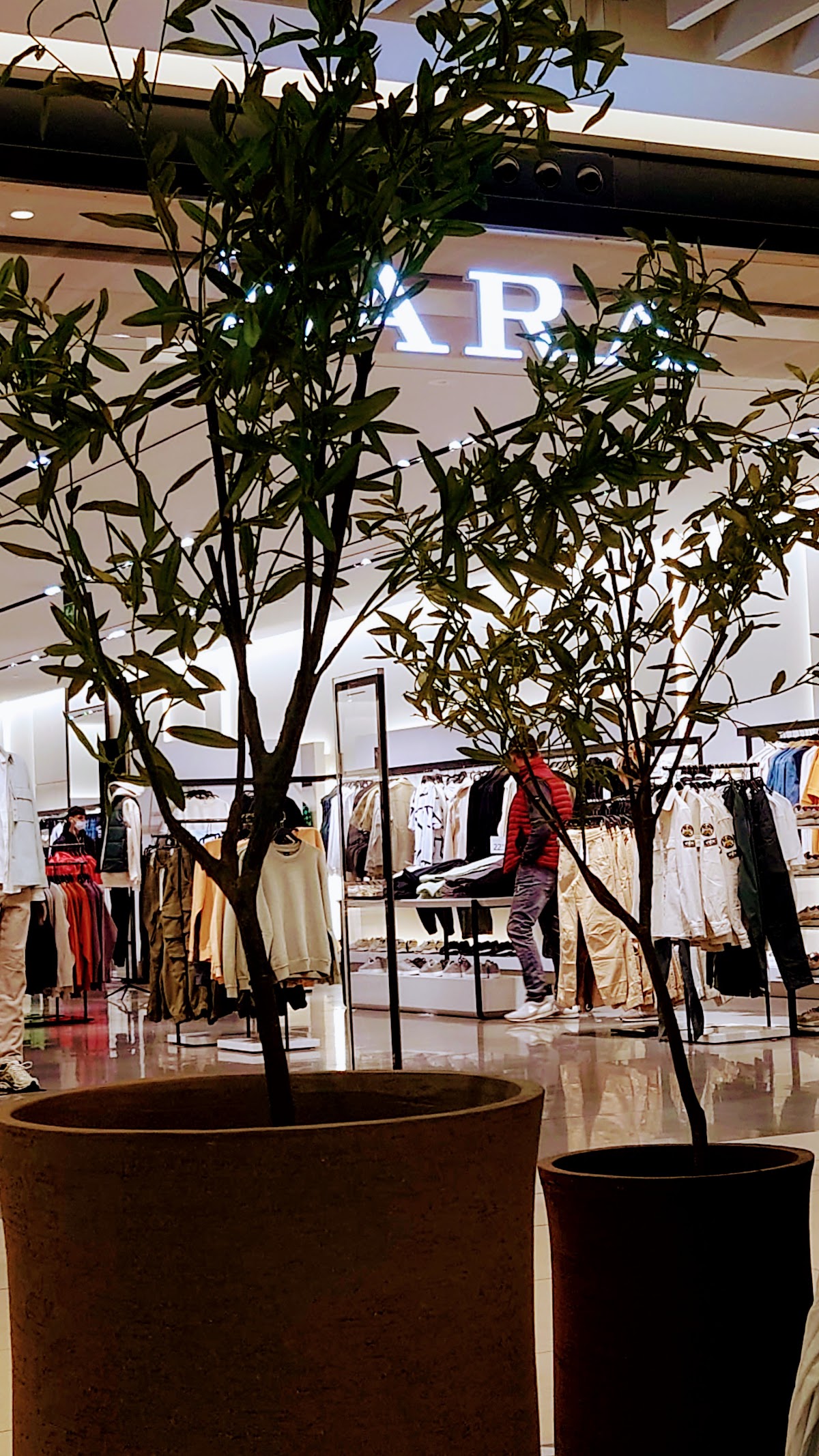 Zara