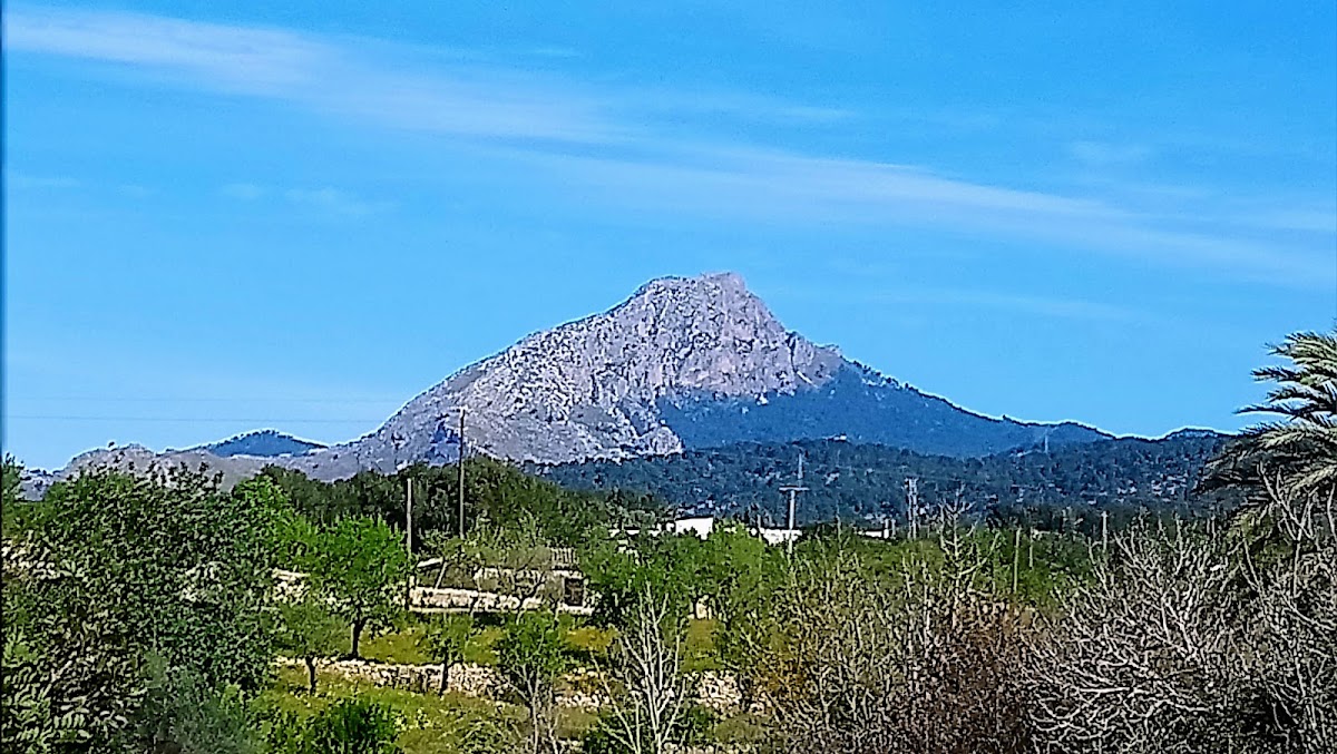 Calvià