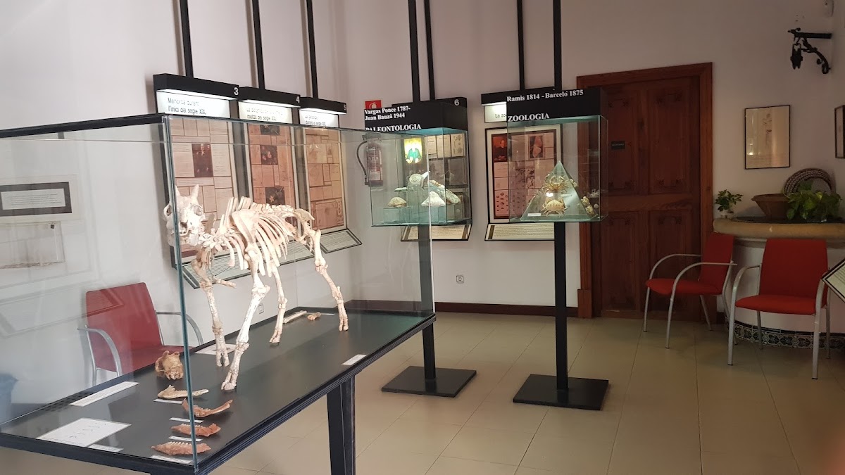 MUCBO | Museu Balear de Ciências Naturais