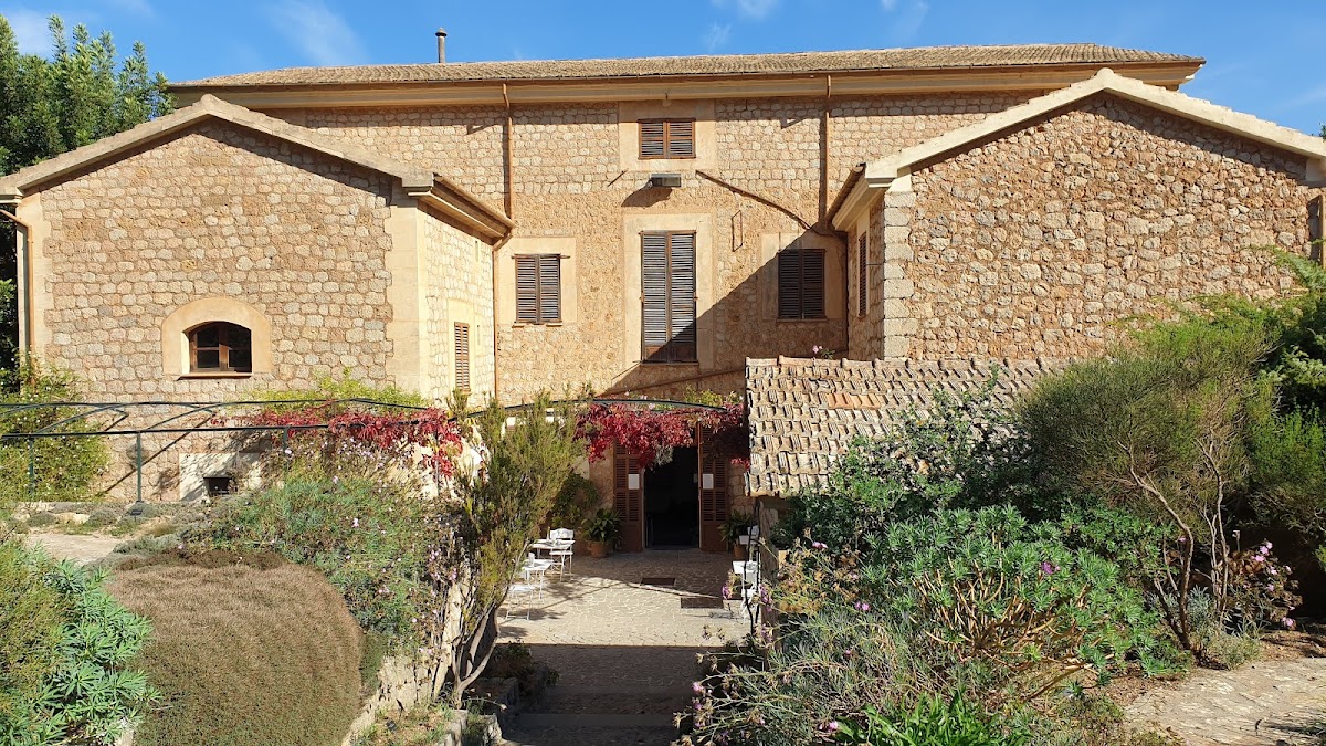 MUCBO | Museu Balear de Ciências Naturais