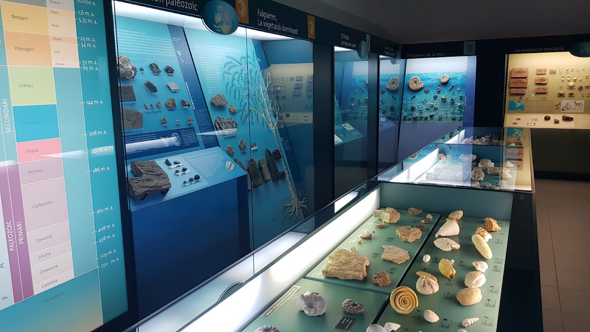 MUCBO | Museu Balear de Ciências Naturais
