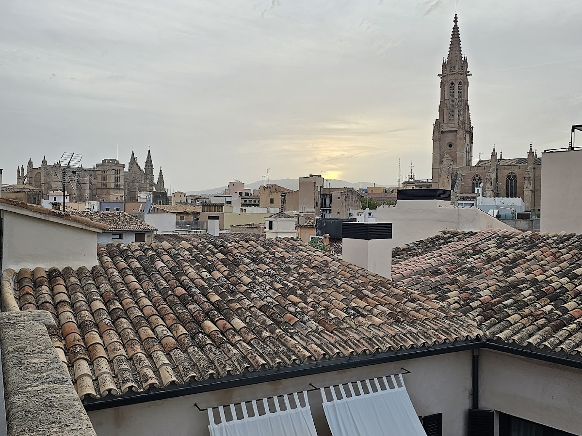 Singular Rooftop Terrace