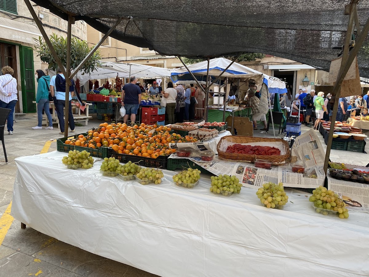 Sineu-marked