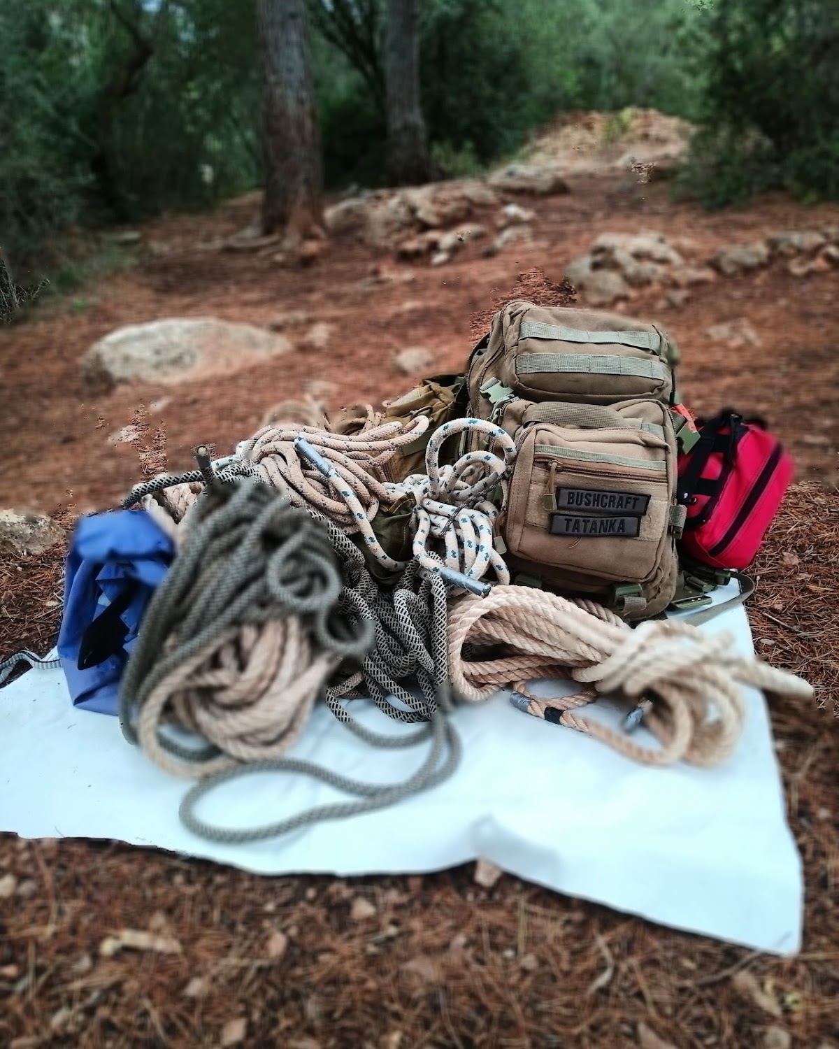 EDUNAT Cooperativa Educazione nella Natura Forest School