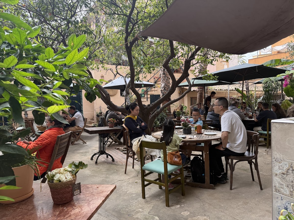 Temple Natura Café Jardin