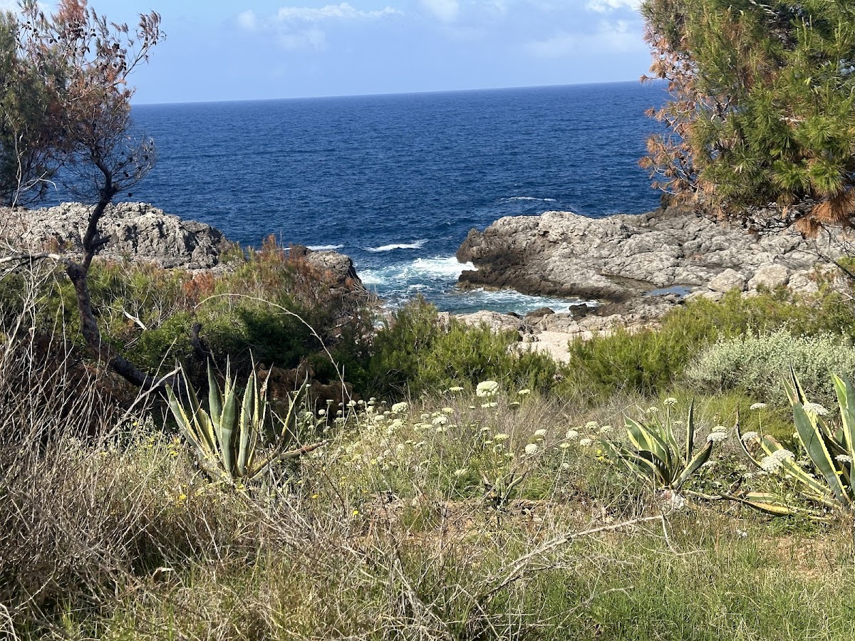 Norway Dive Mallorca - Centro de Buceo IDC 5 Estrellas PADI