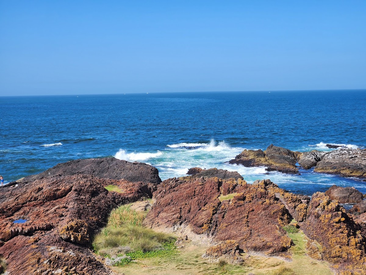 Punta Ballena