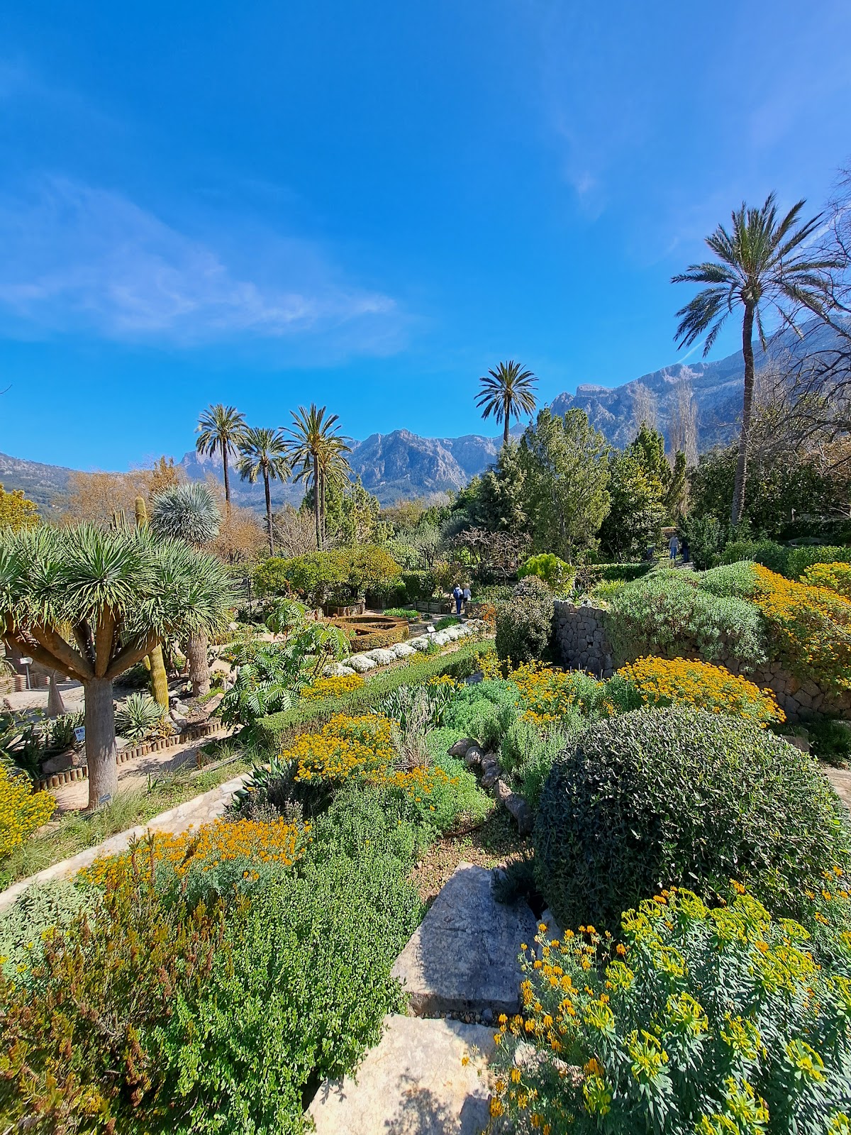 Jardim Botânico de Sóller