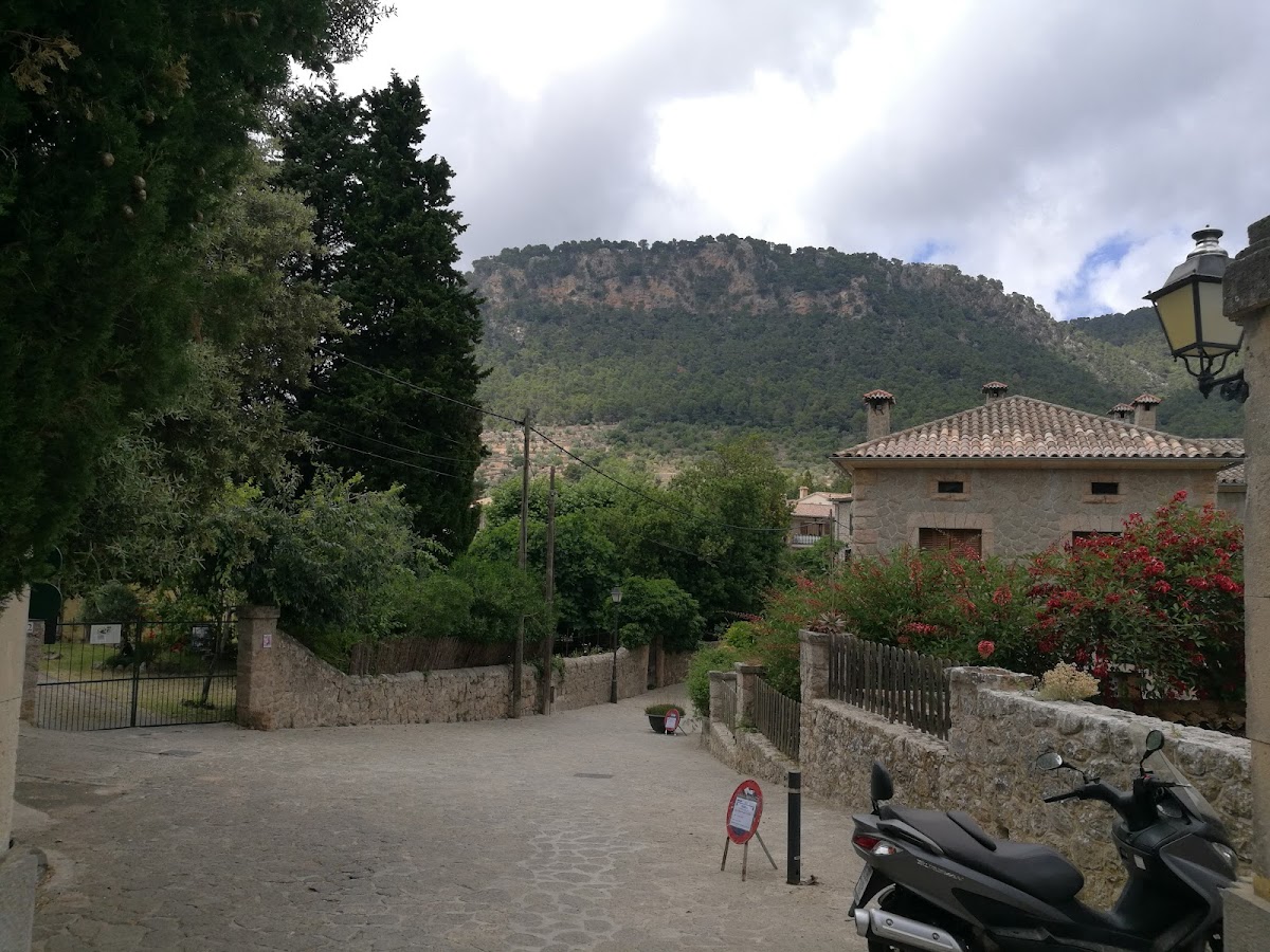 Jardini Rei Joan Carles