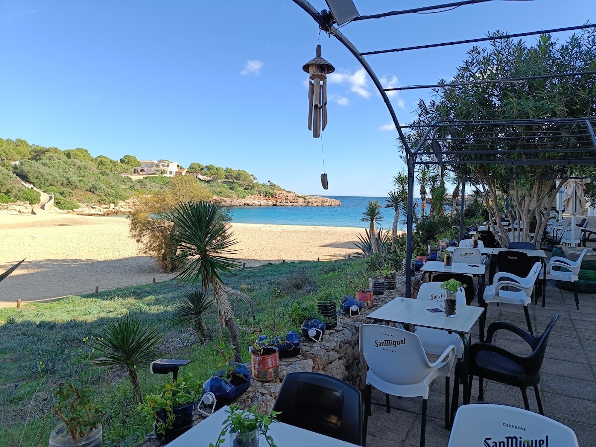 Organic, Restaurante Ecològico