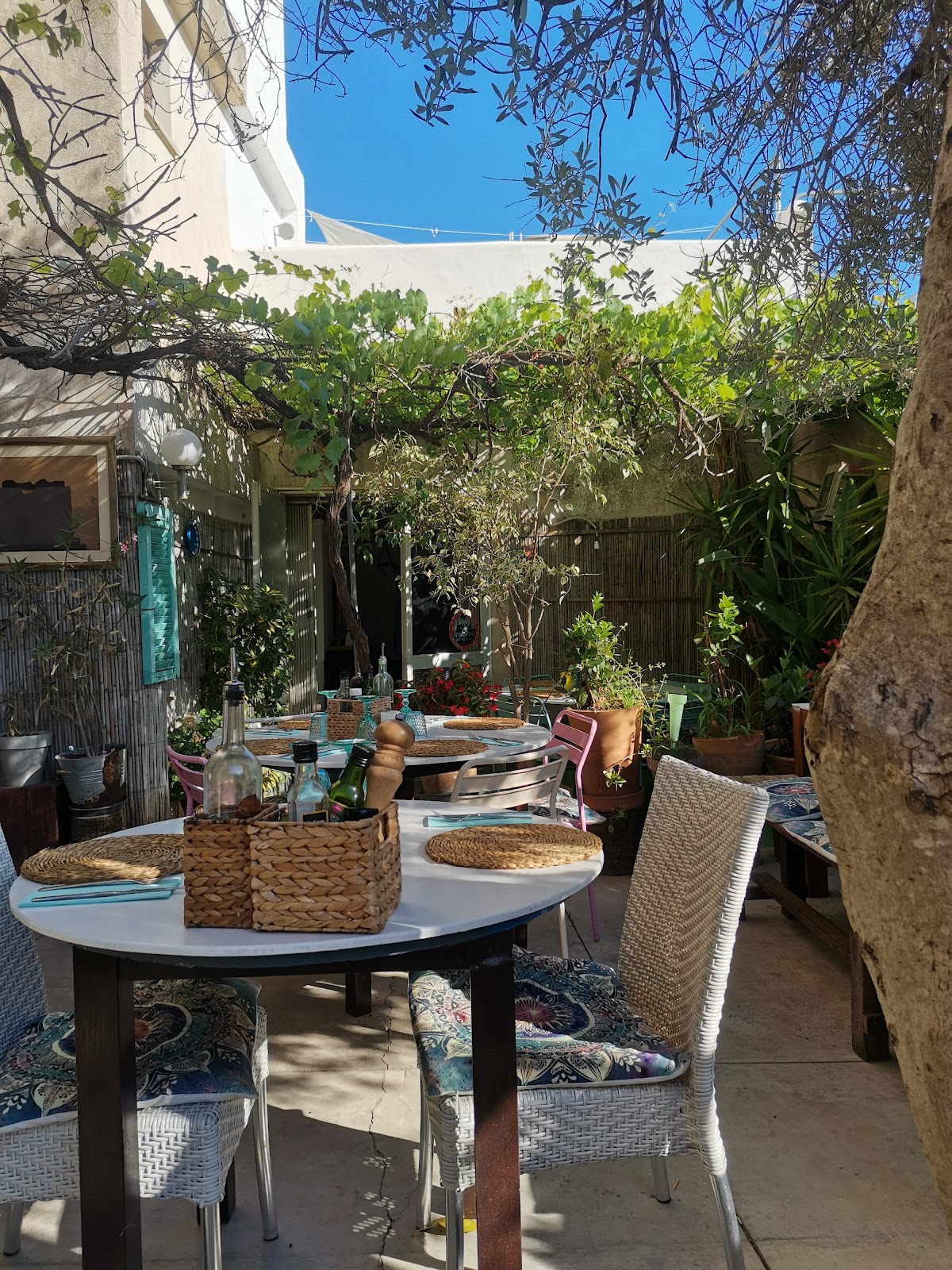 Pizzeria Nou